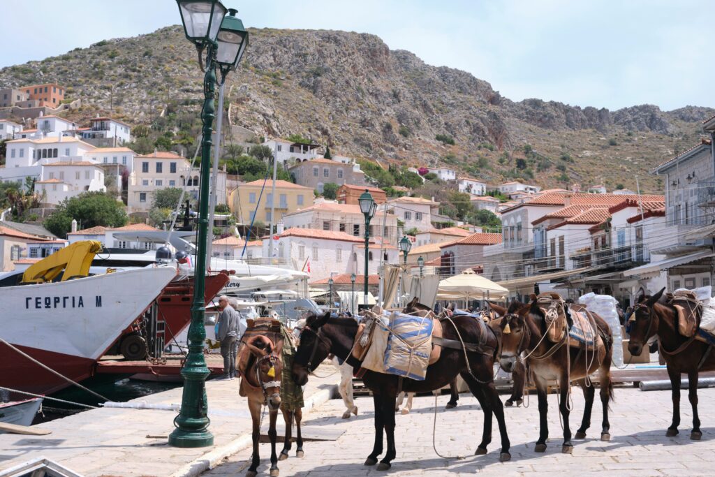 Donkeys lined up at the harbor on Hydra island, Greece, with whitewashed buildings on the hillside behind — one of the best weekend trips from Athens by hydrofoil