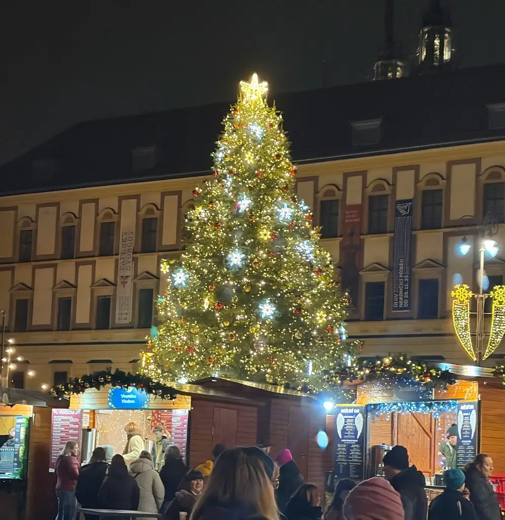 Brno náměstí Svobody Christmas market tree at night